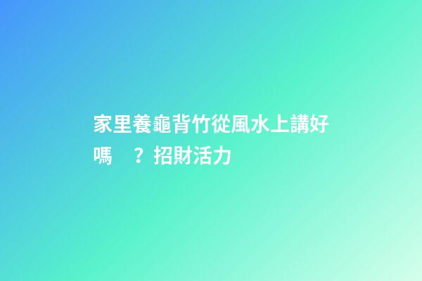 家里養龜背竹從風水上講好嗎？招財活力
